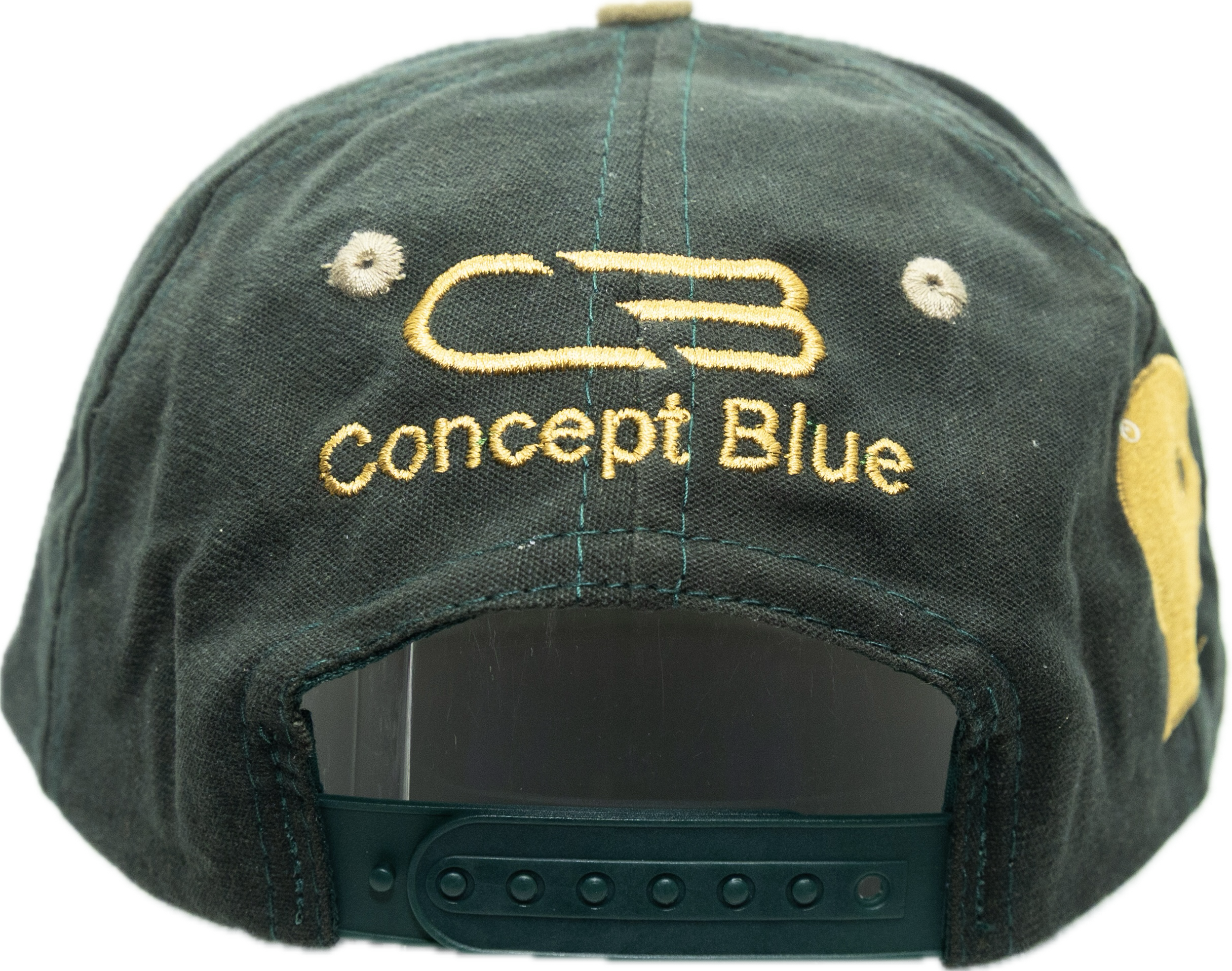 Soundwaves Vintage Snapback