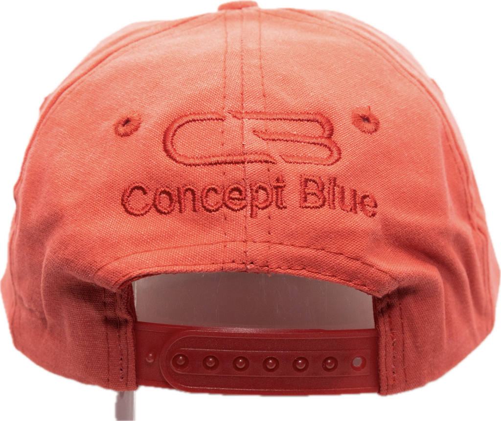 Blame Inflation v2 Vintage Snapback