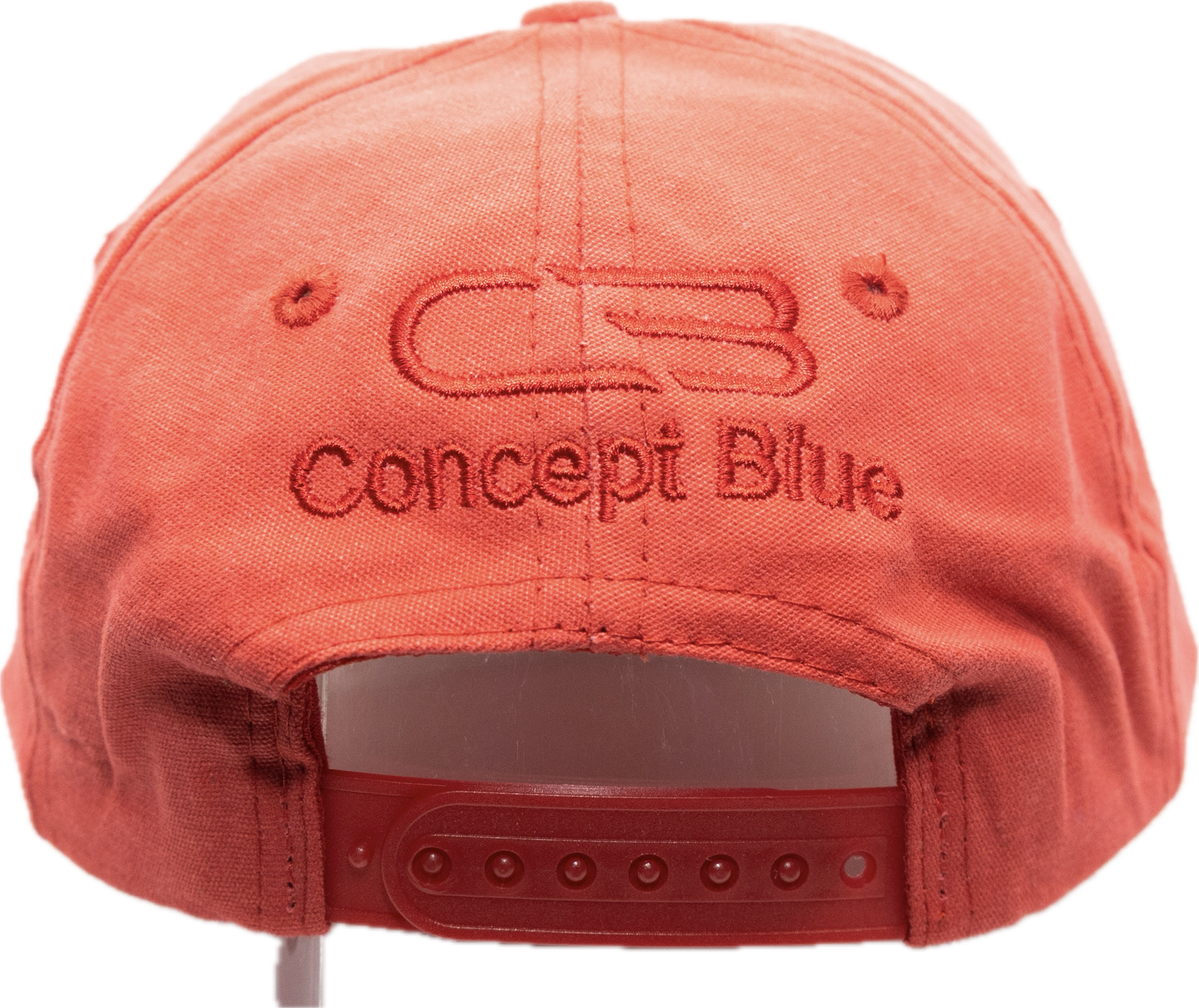 Blame Inflation v2 Vintage Snapback